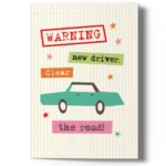 funny driving test card